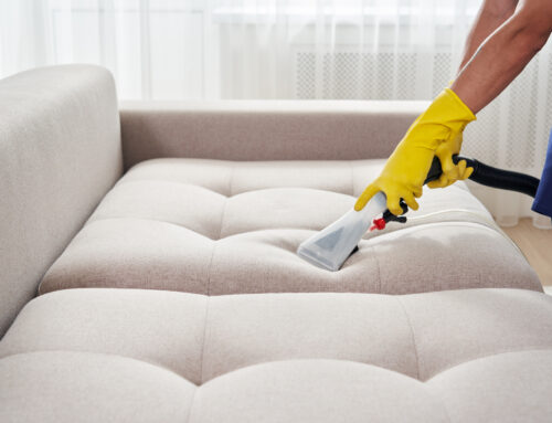 How to Steam Clean a Couch: A Step-by-Step Guide from Speed Clean Services