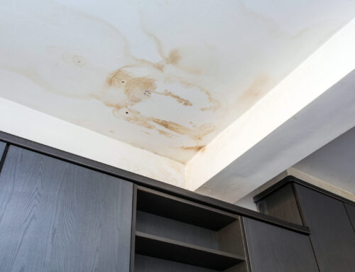 Signs of Water Damage: What to Look for in Your Home