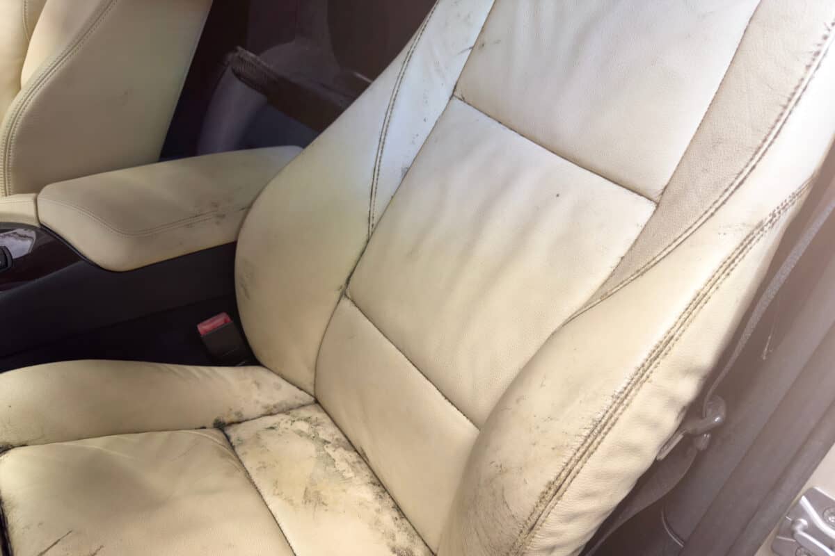 How to Clean Mold from Car Interiors Speed Clean