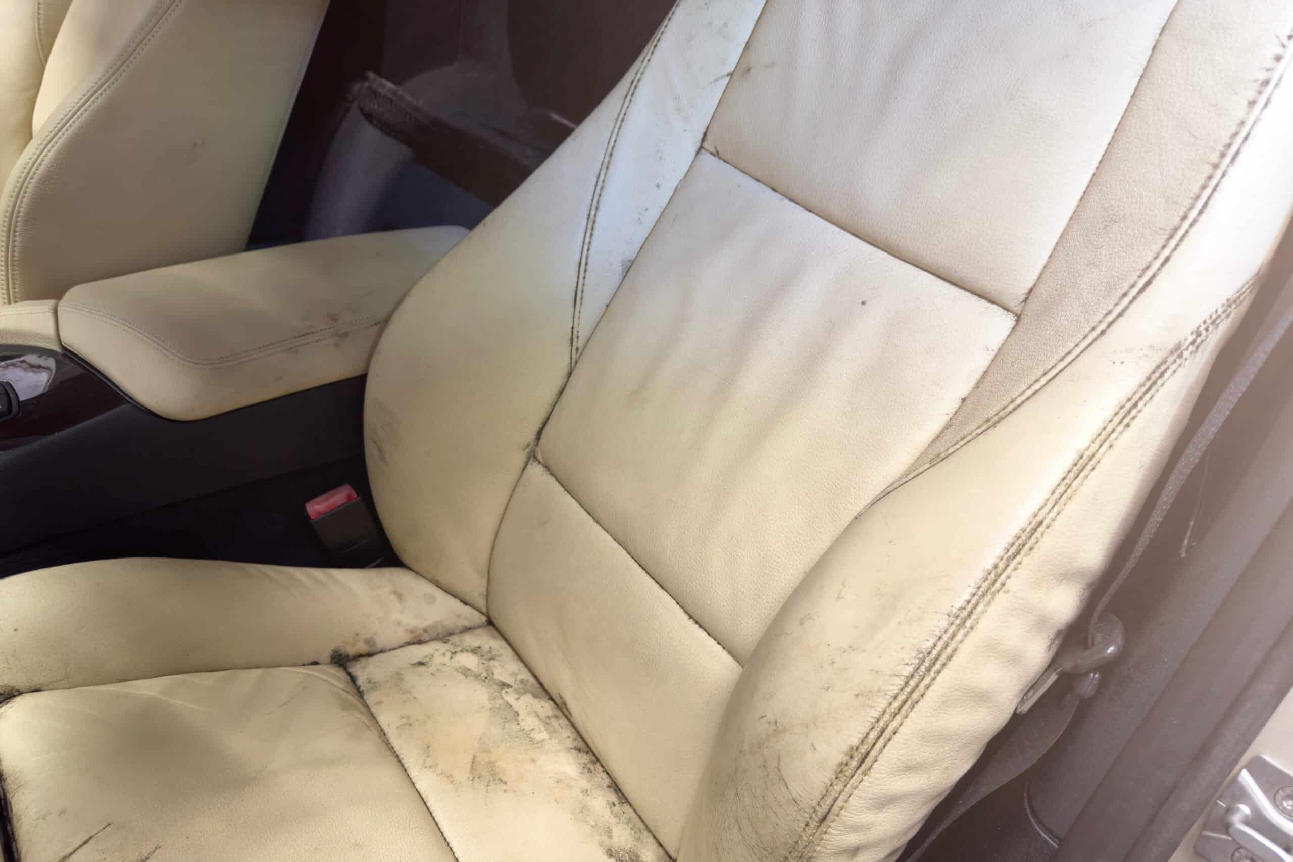 mold on car interior